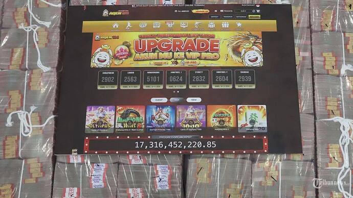 IMAGE 2026-02-10 04:18:07